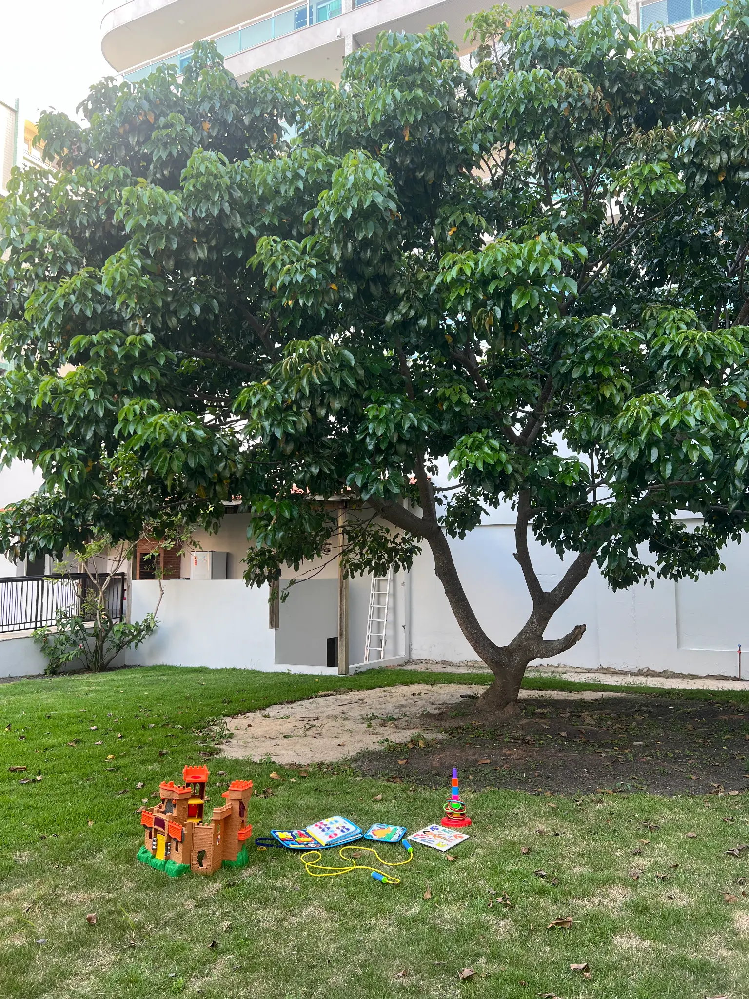 Espaço para Crescer Livremente